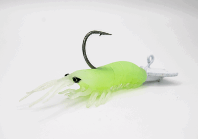 Glowtail
