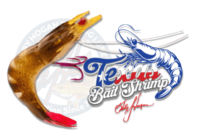 Texas Line Through Bait Shrimp RootBeer